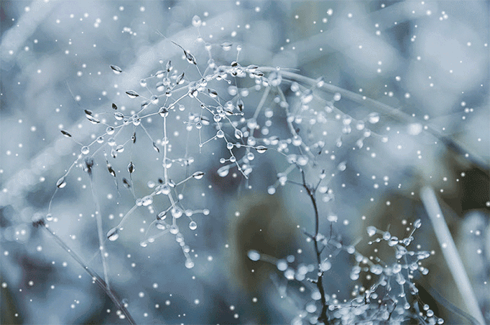 雨雪