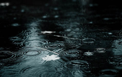 雨中池塘