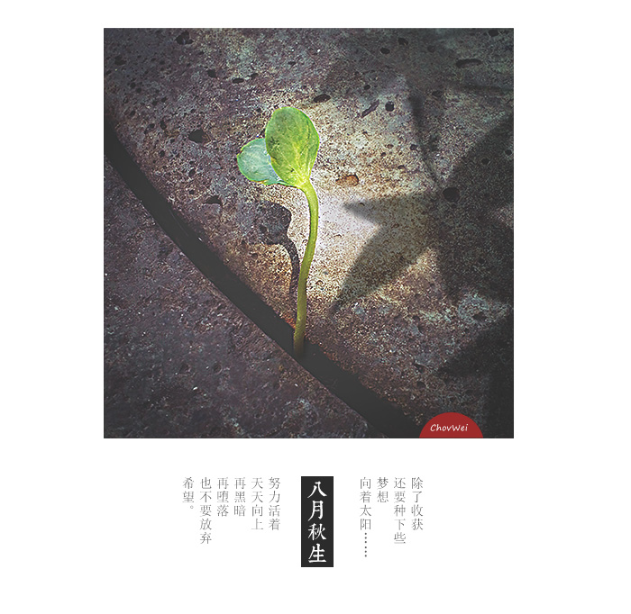 八月秋生