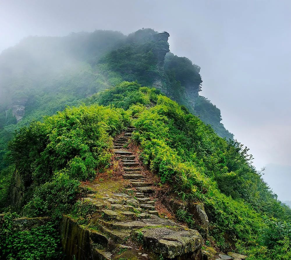 龙岩城下
