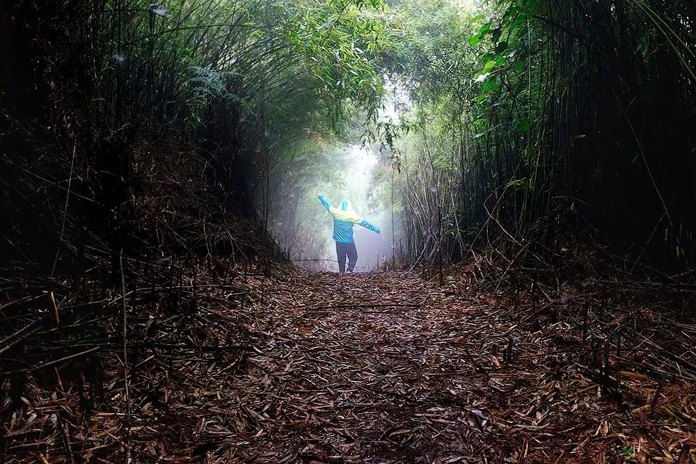 穿过竹林小径去龙岩城深处