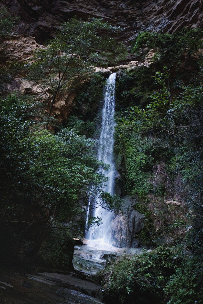 CW_DAQINGDONG_03.jpg