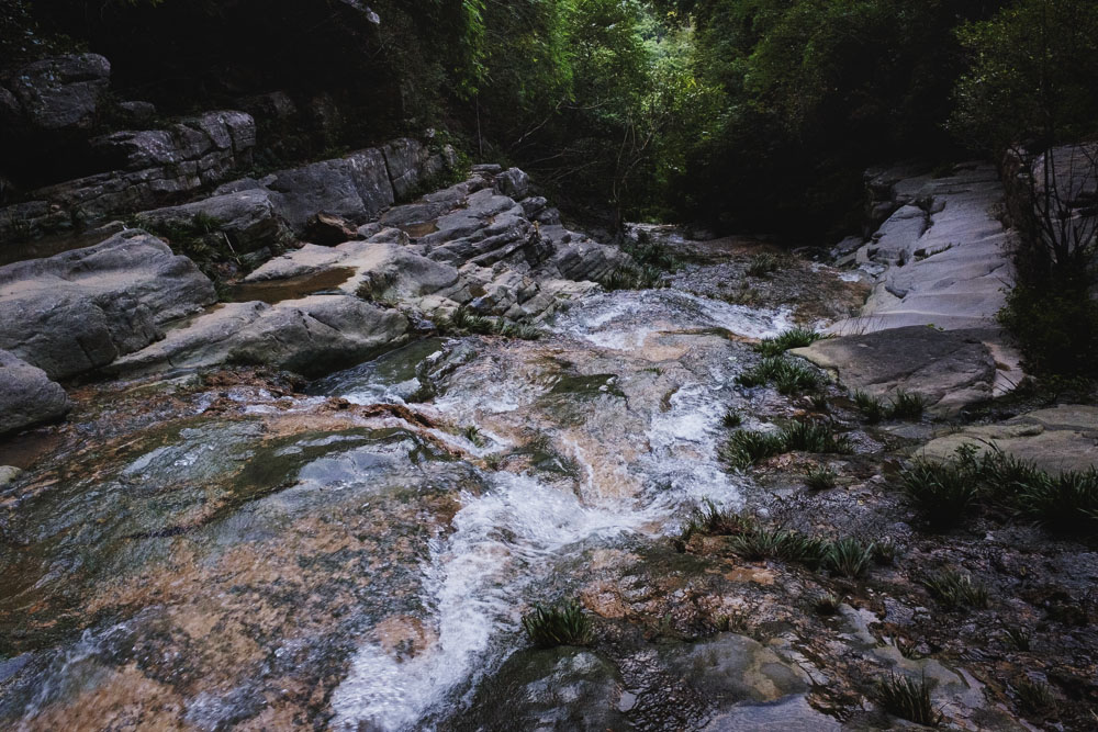 CW_DAQINGDONG_05.jpg